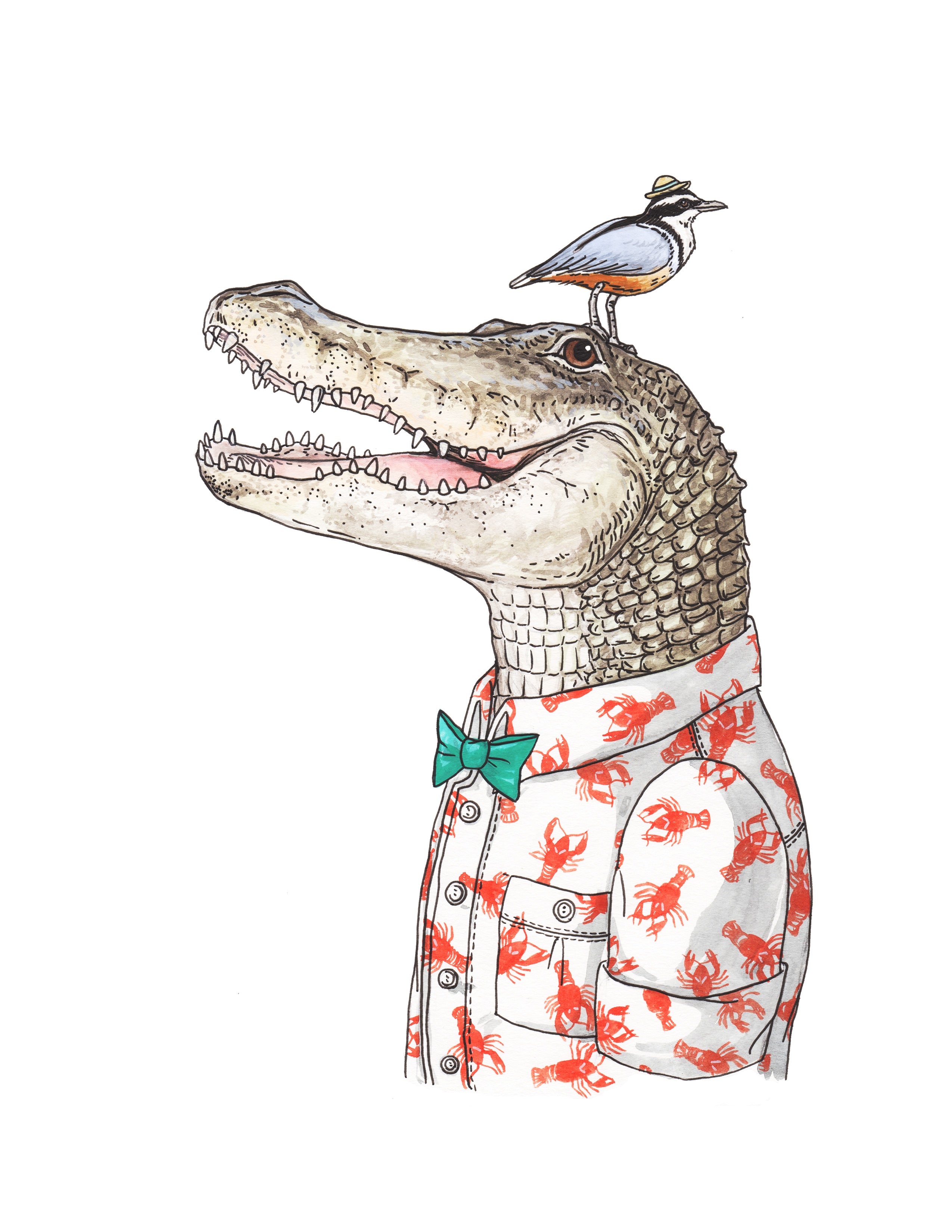 Gator + Plover - Print