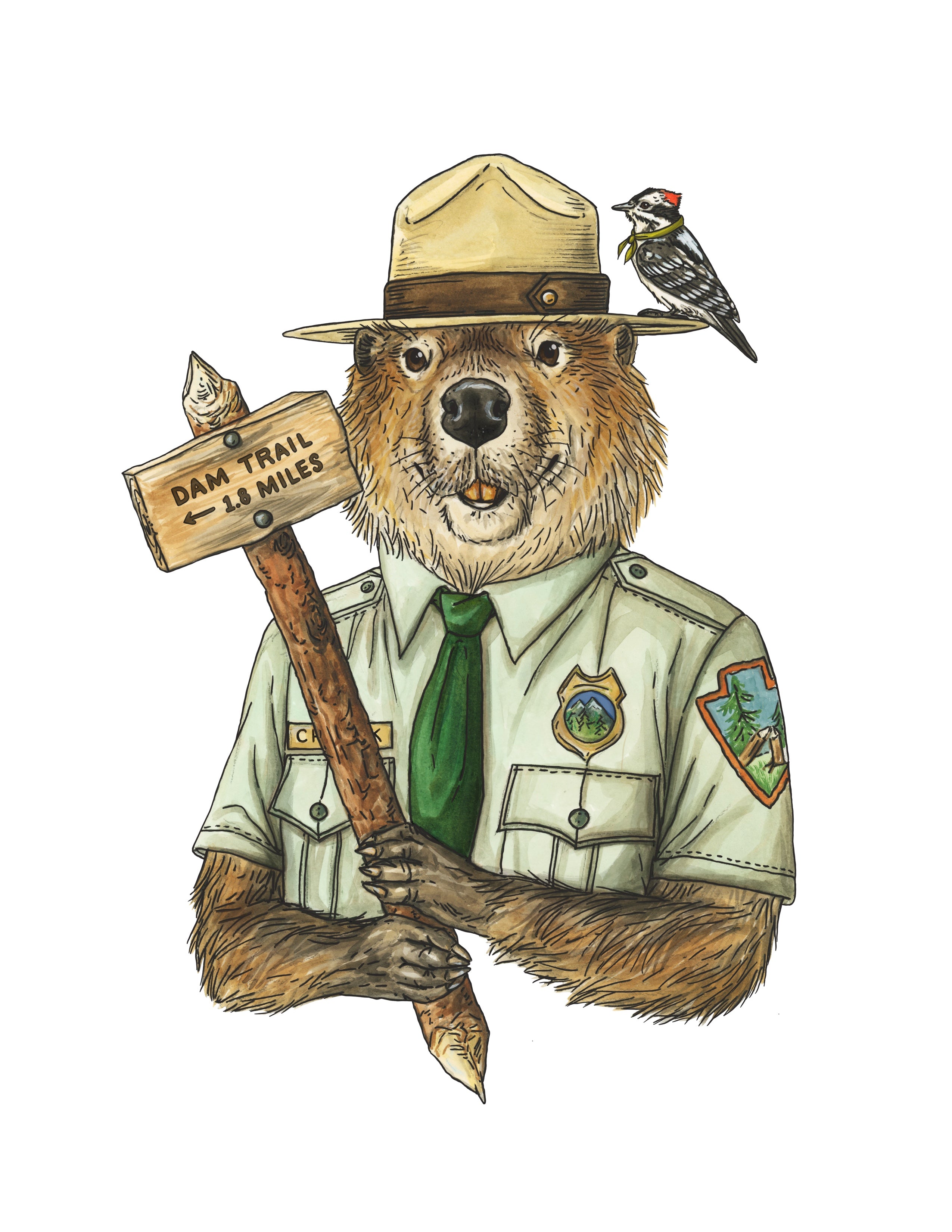 Beaver - Ranger Chuck - Print