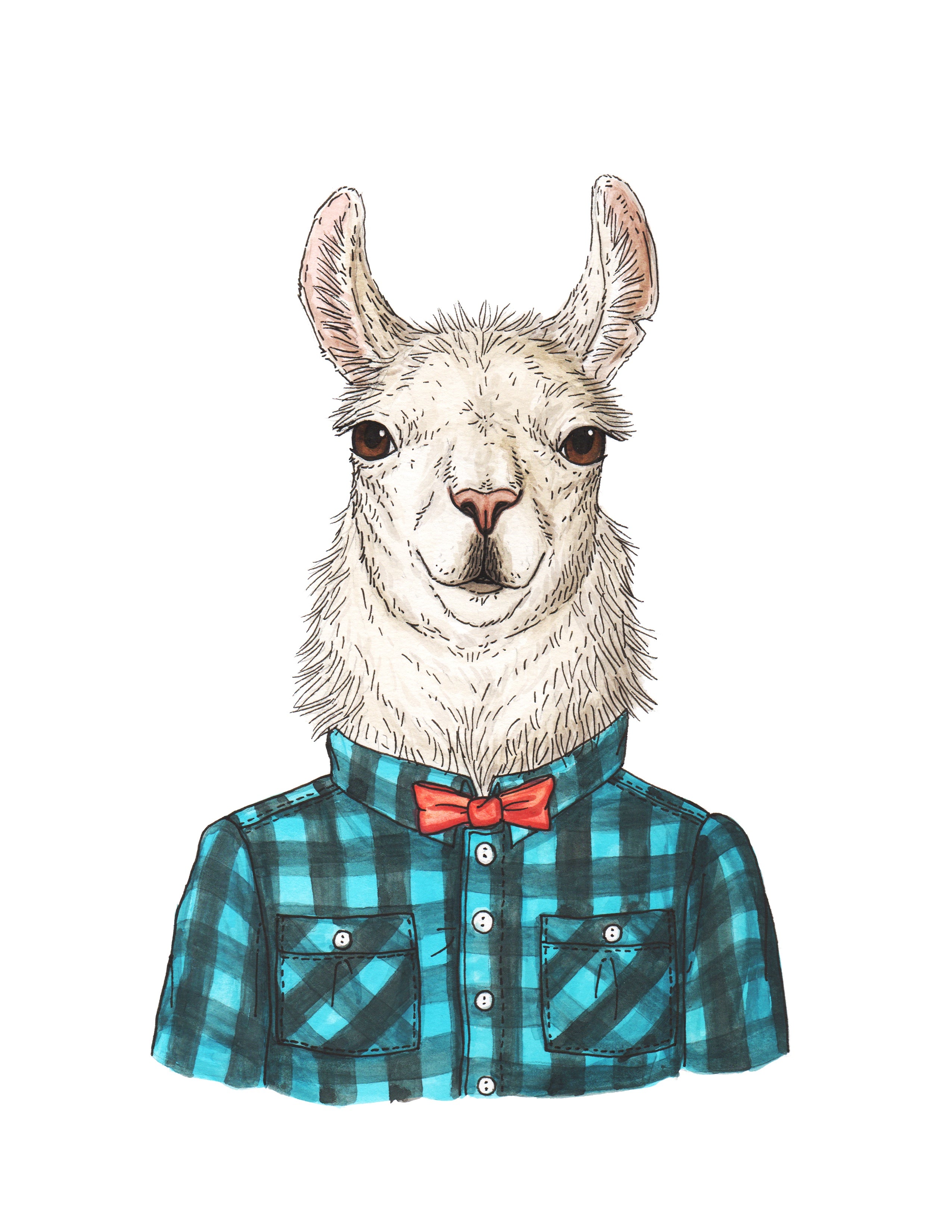 Llama - Hipster - Print