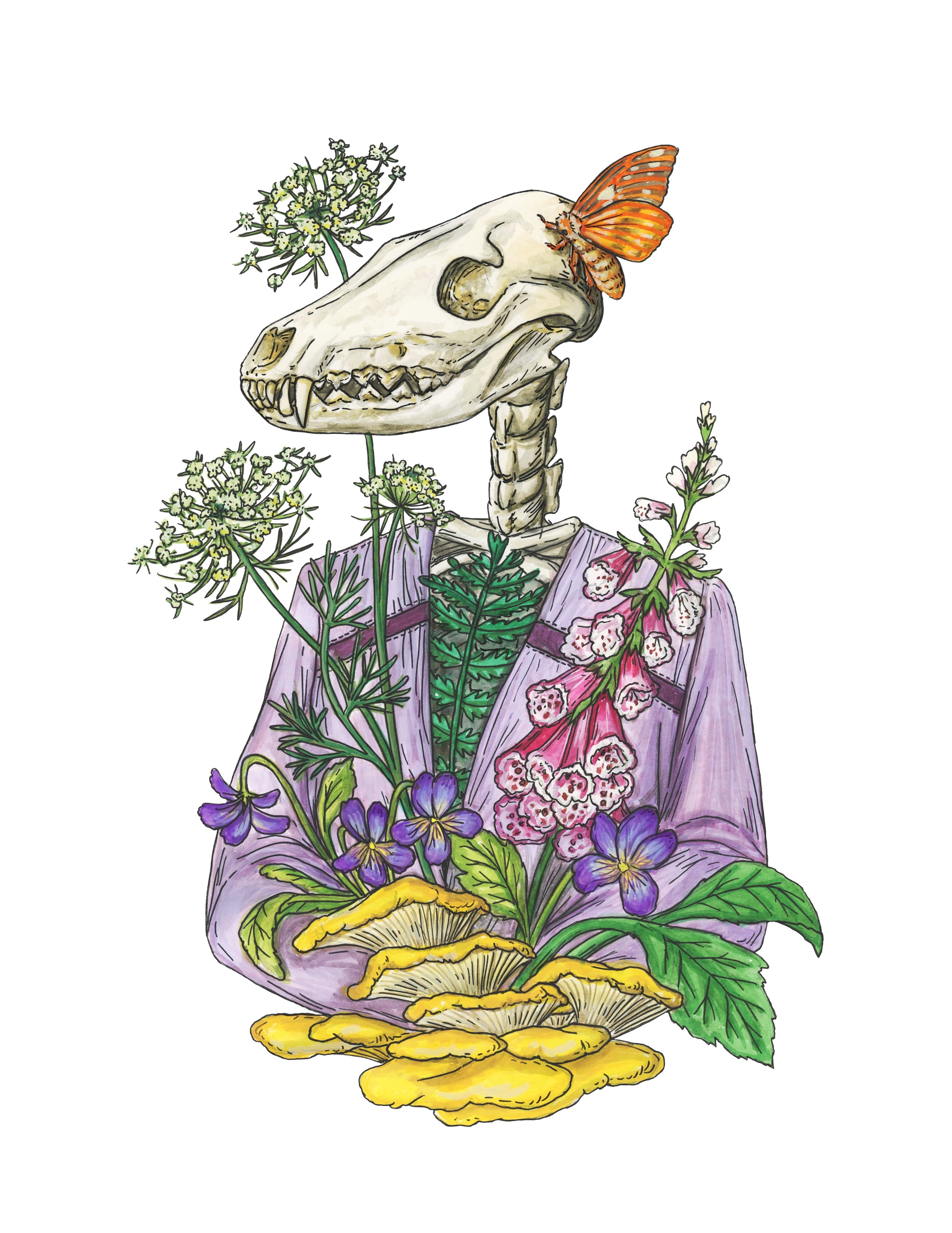 Fox Skull - Life Cycle - Print