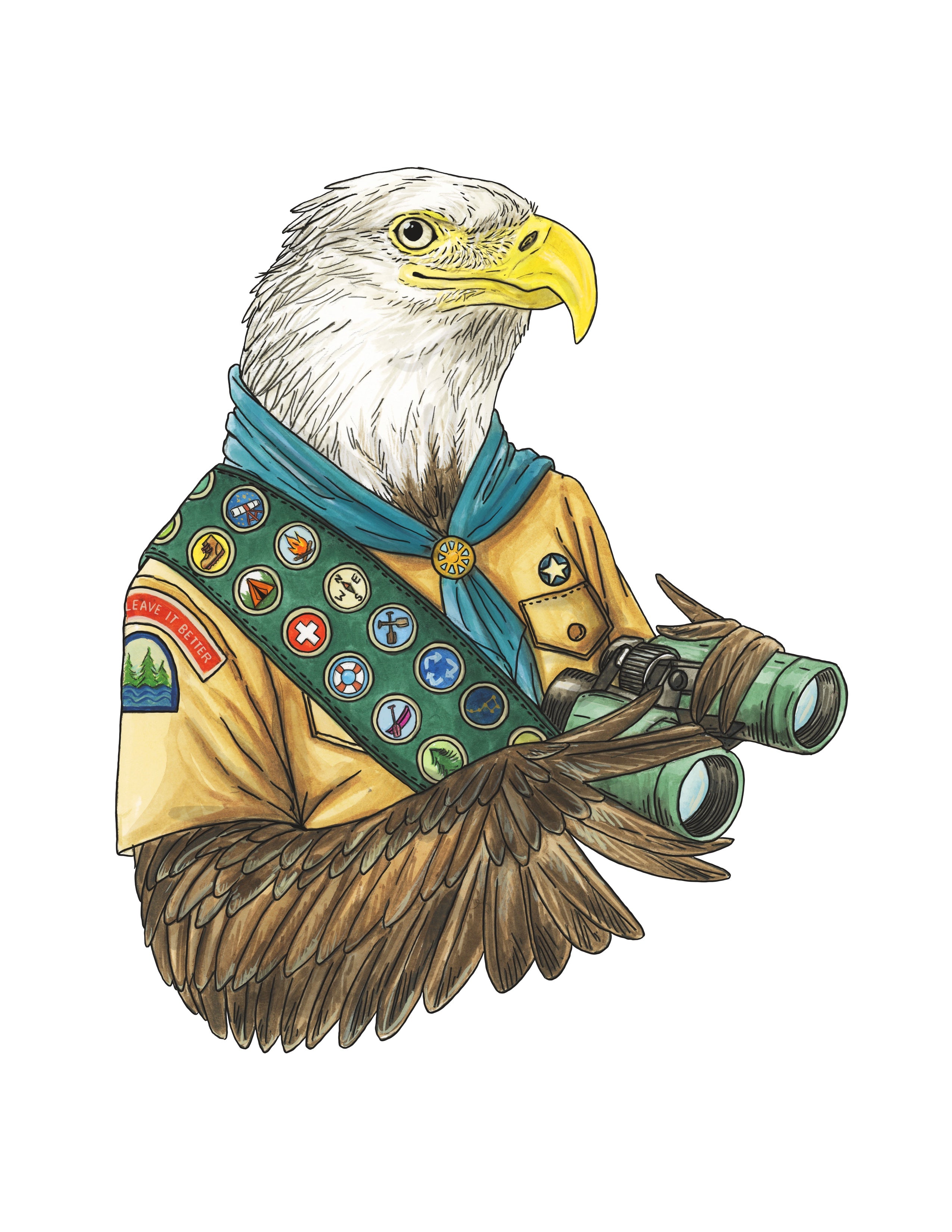 Bald Eagle Scout - Print