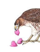 Hawk + Peeps - Snack Attack - Print