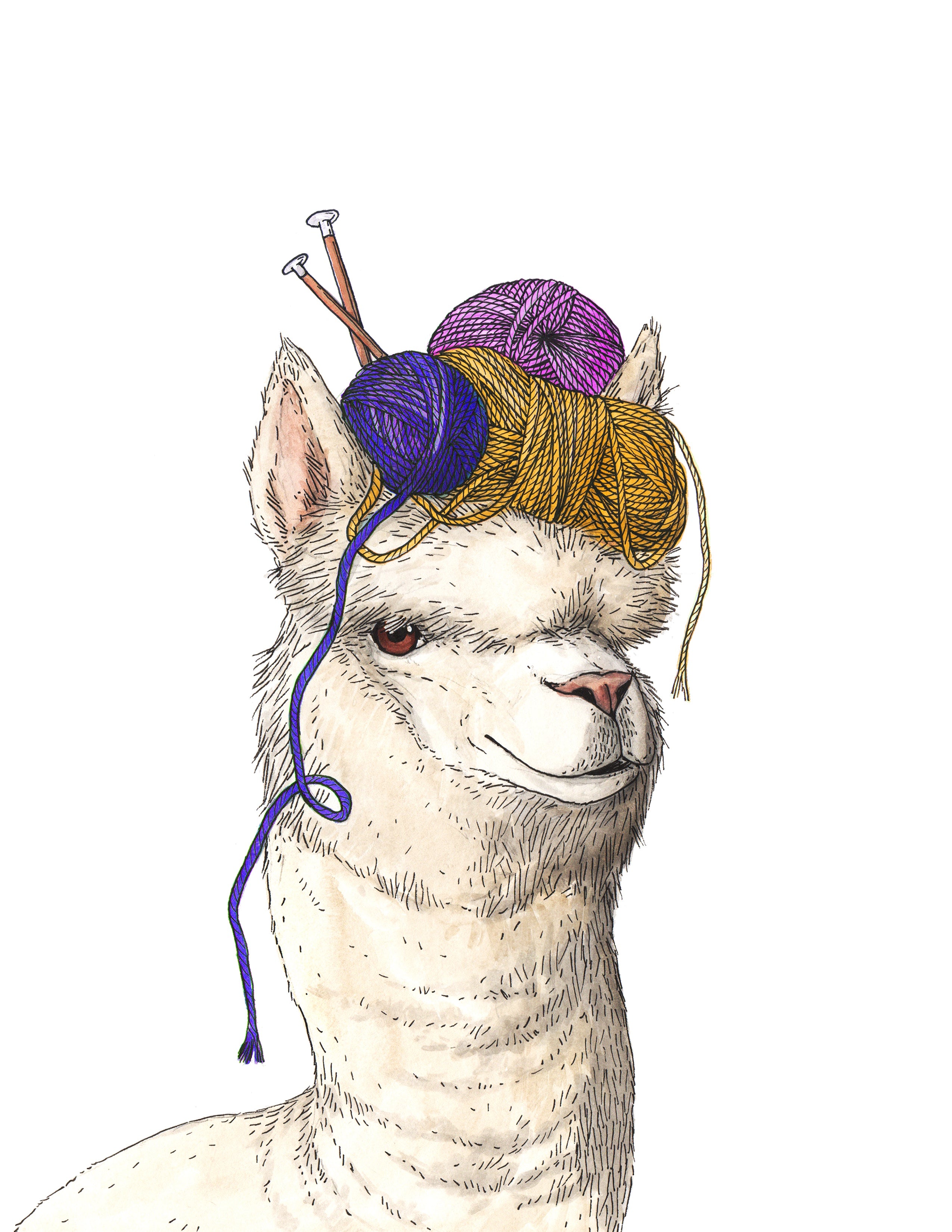 Alpaca + Yarn - Print