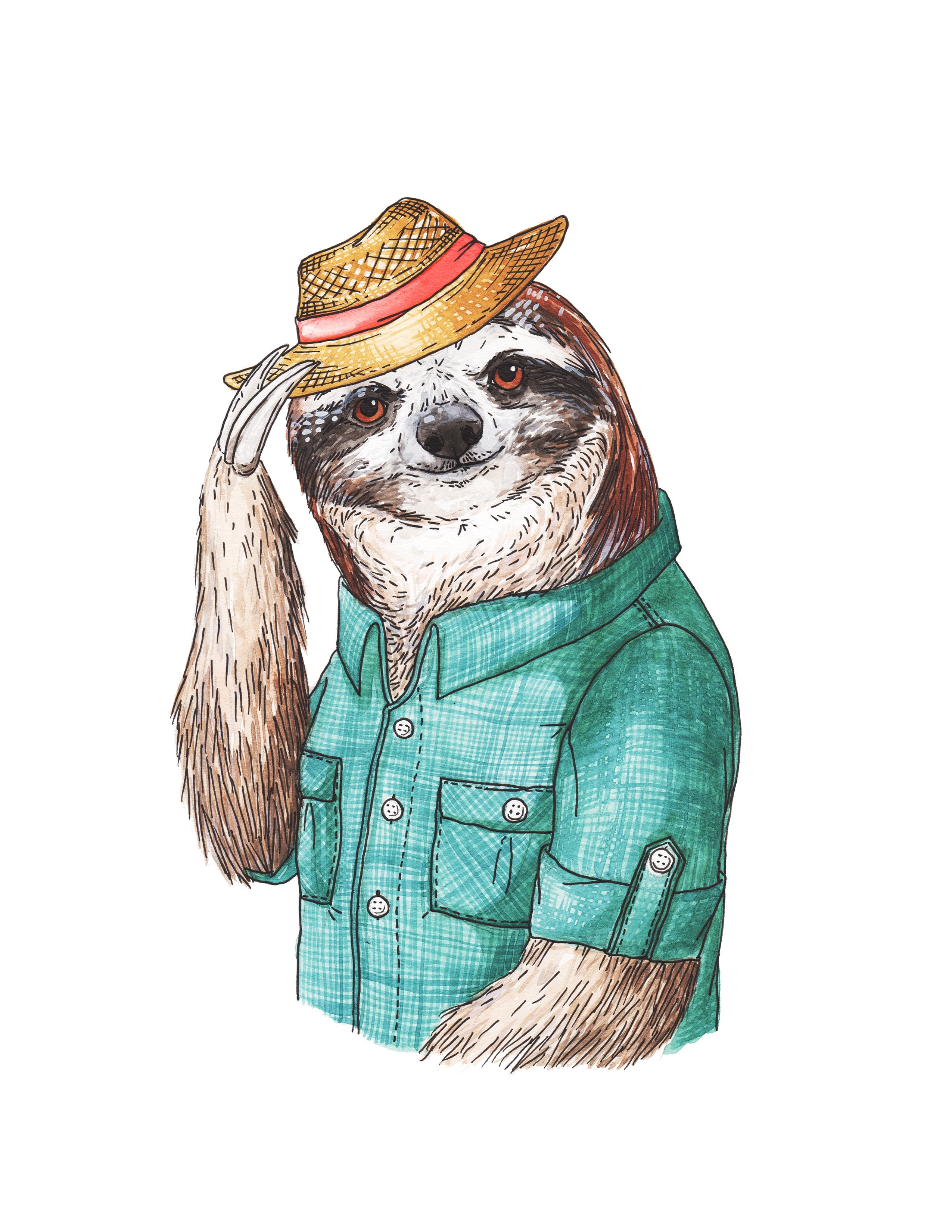 Sloth - Print