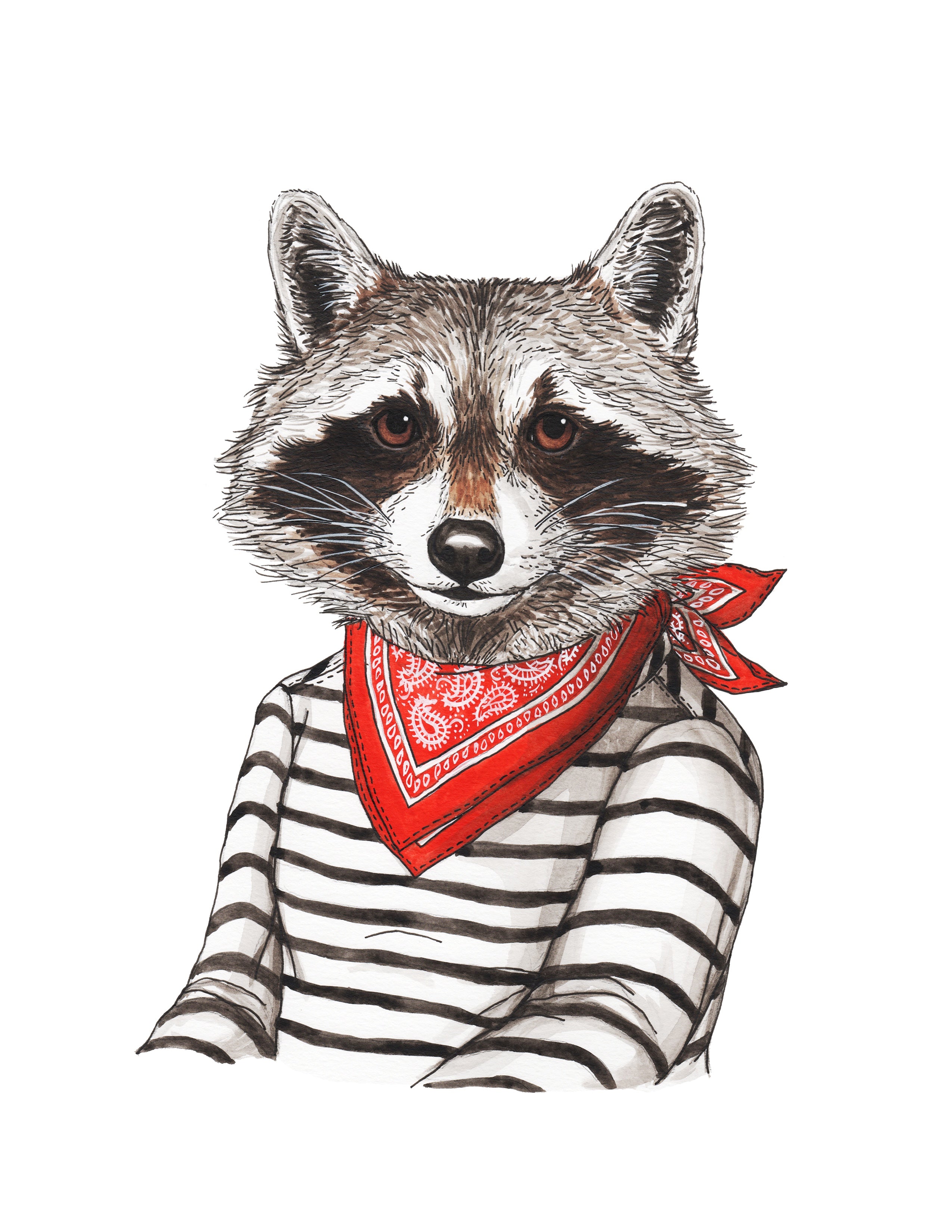 Raccoon - Bandit - Print