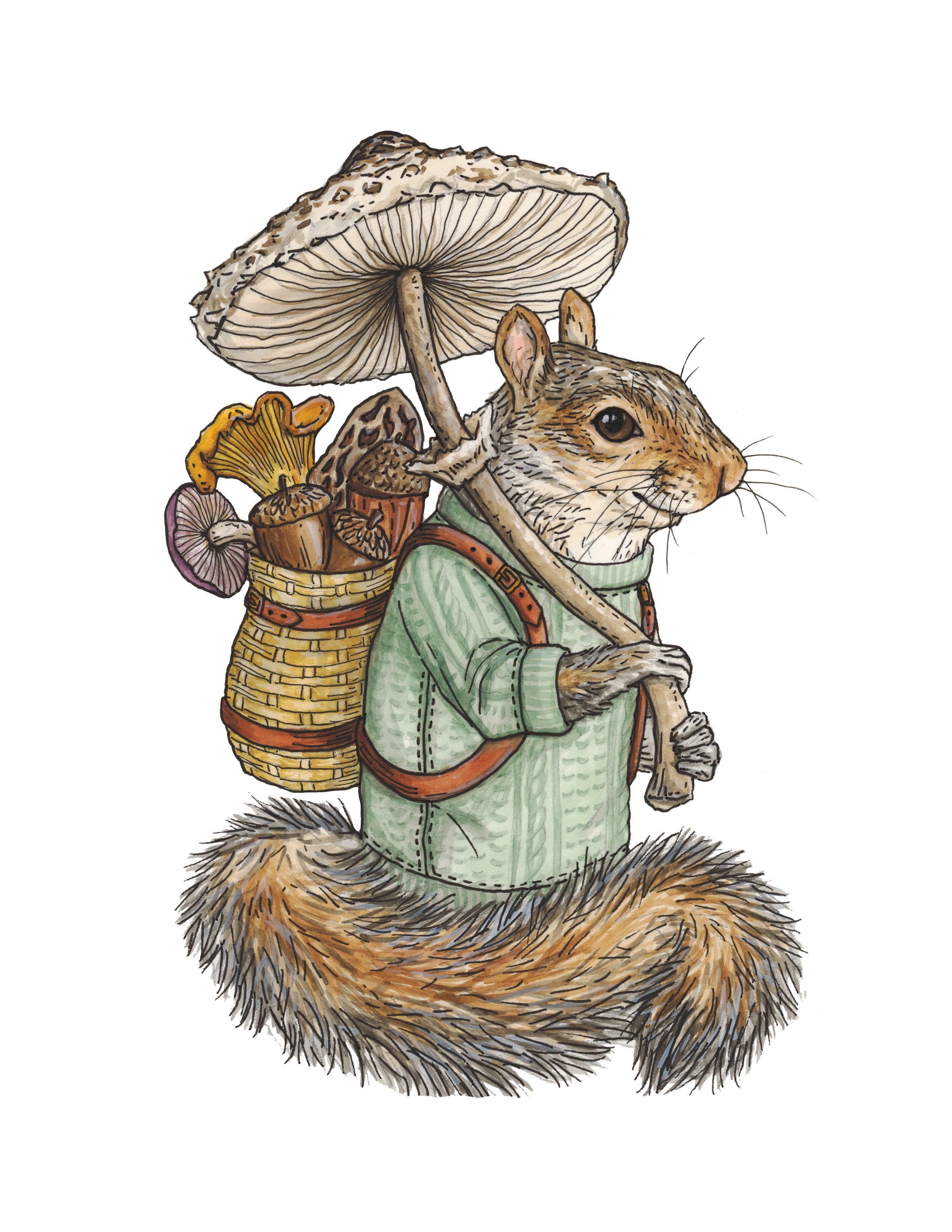 Squirrel + Mushrooms - Forager - Print