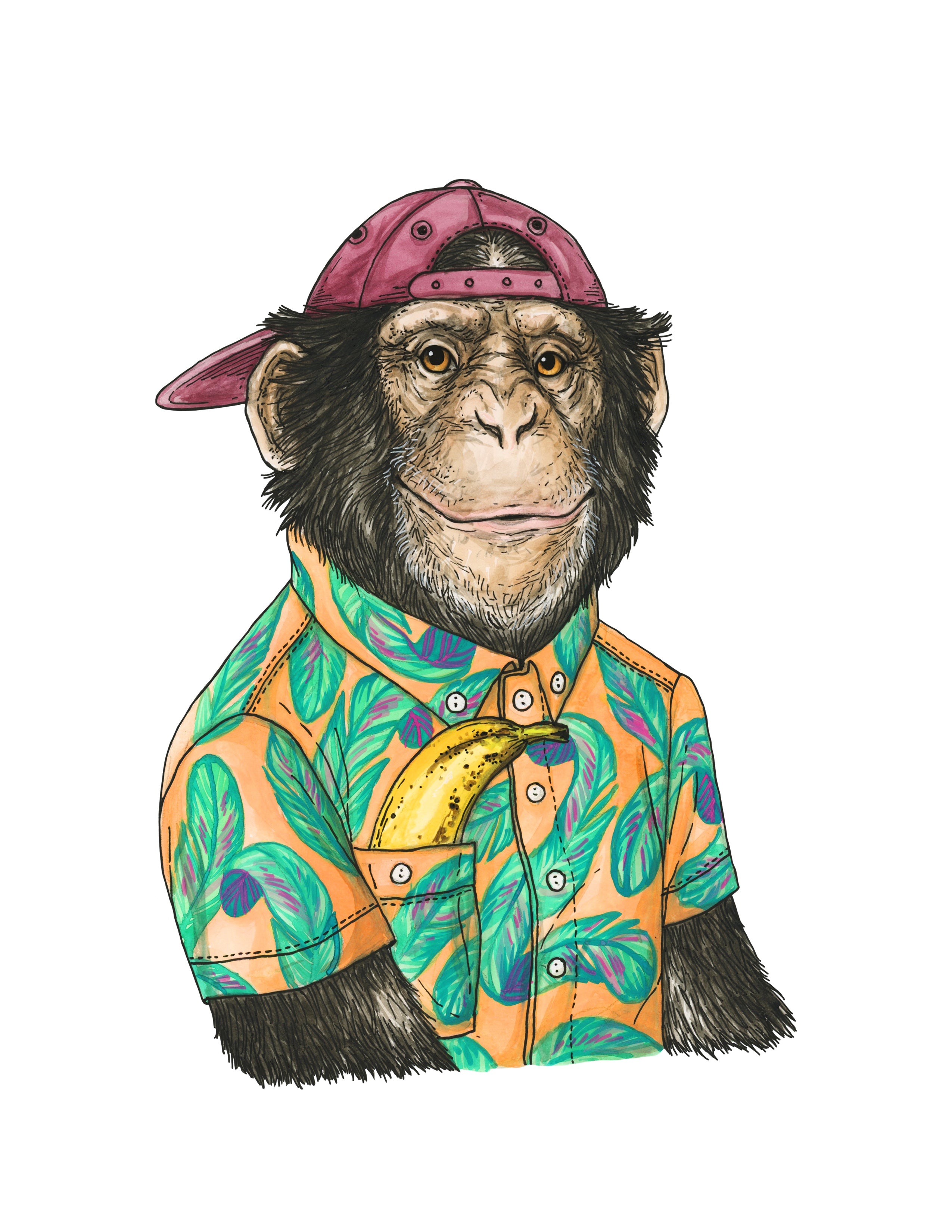 Chimp + Banana - Print