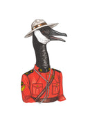 Canadian Goose - Print