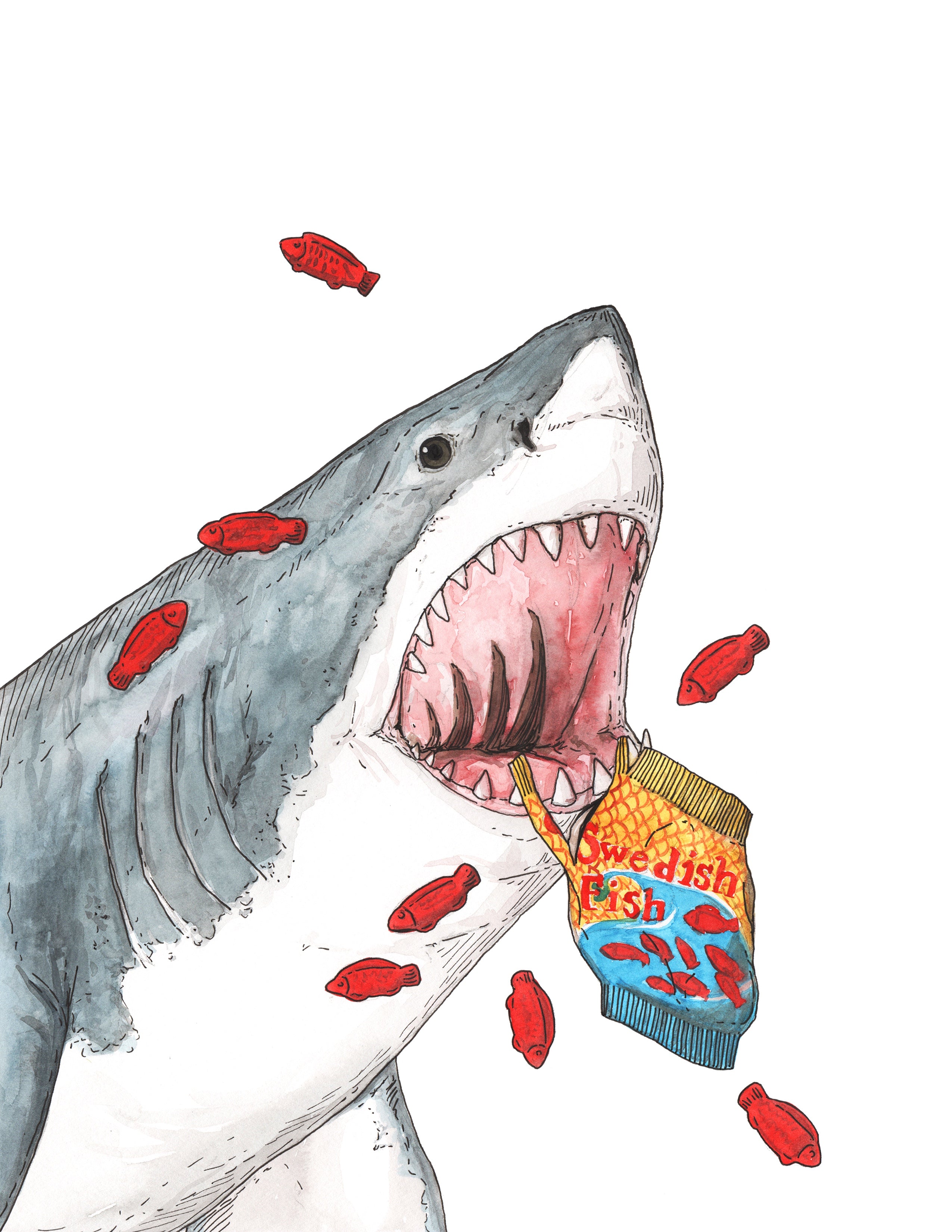 Shark + Fish - Snack Attack - Print