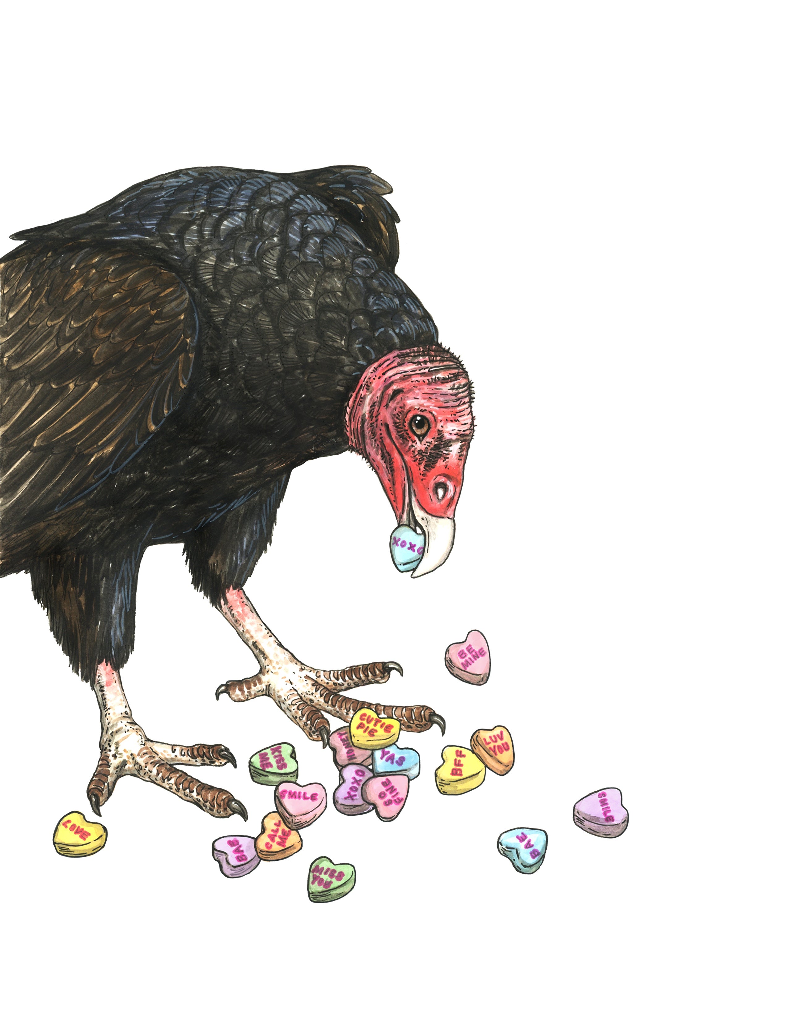 Vulture + Candy Hearts - Snack Attack - Print