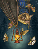 Brown Bat + Moths - Print