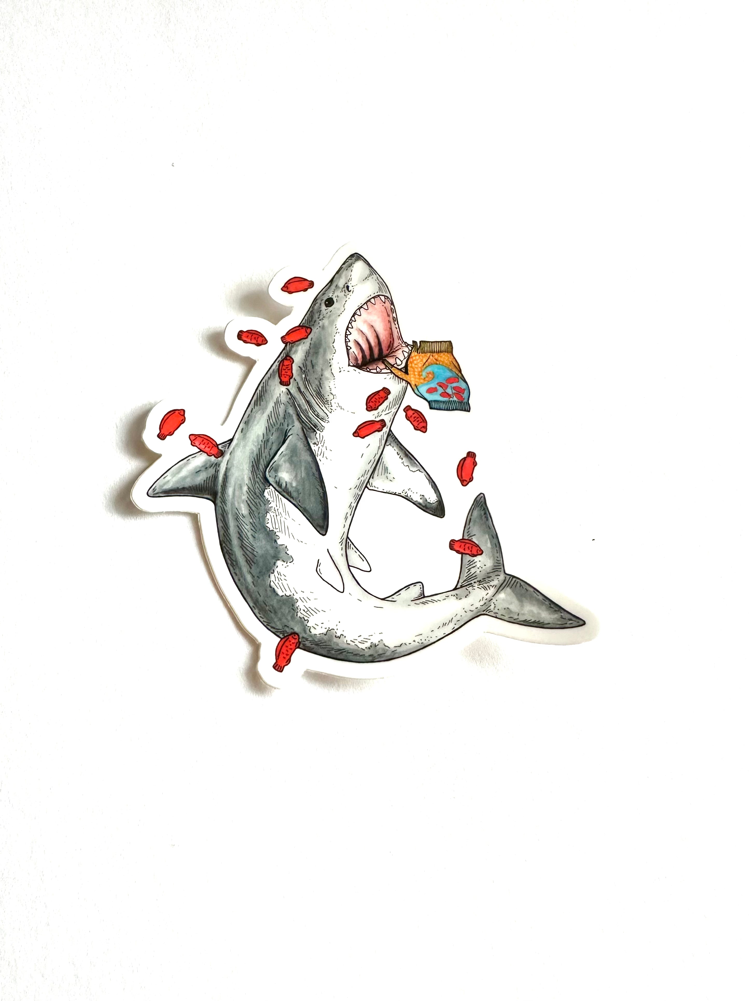 Shark + Fish - Vinyl Sticker