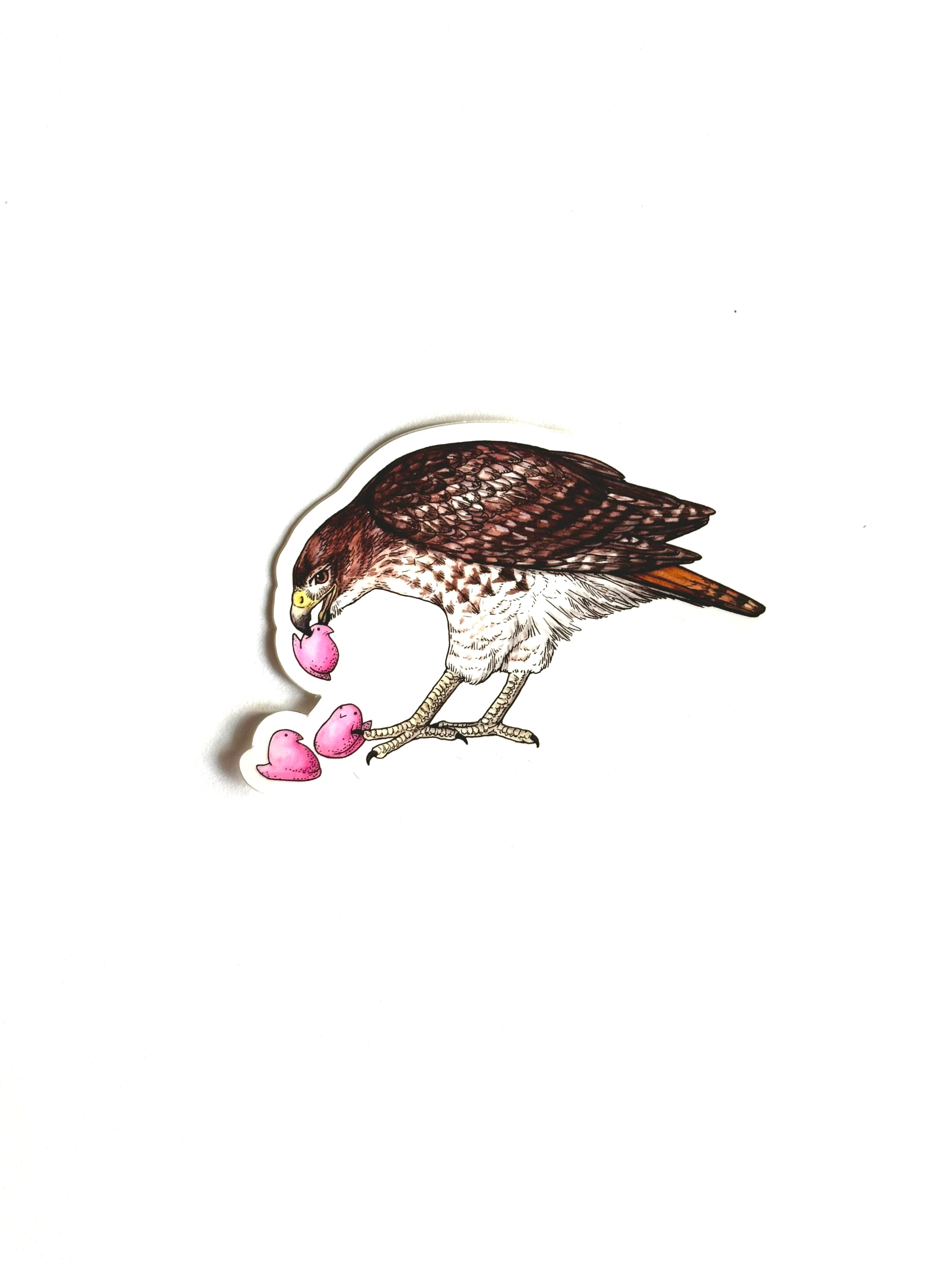 Hawk + Peeps - Vinyl Sticker